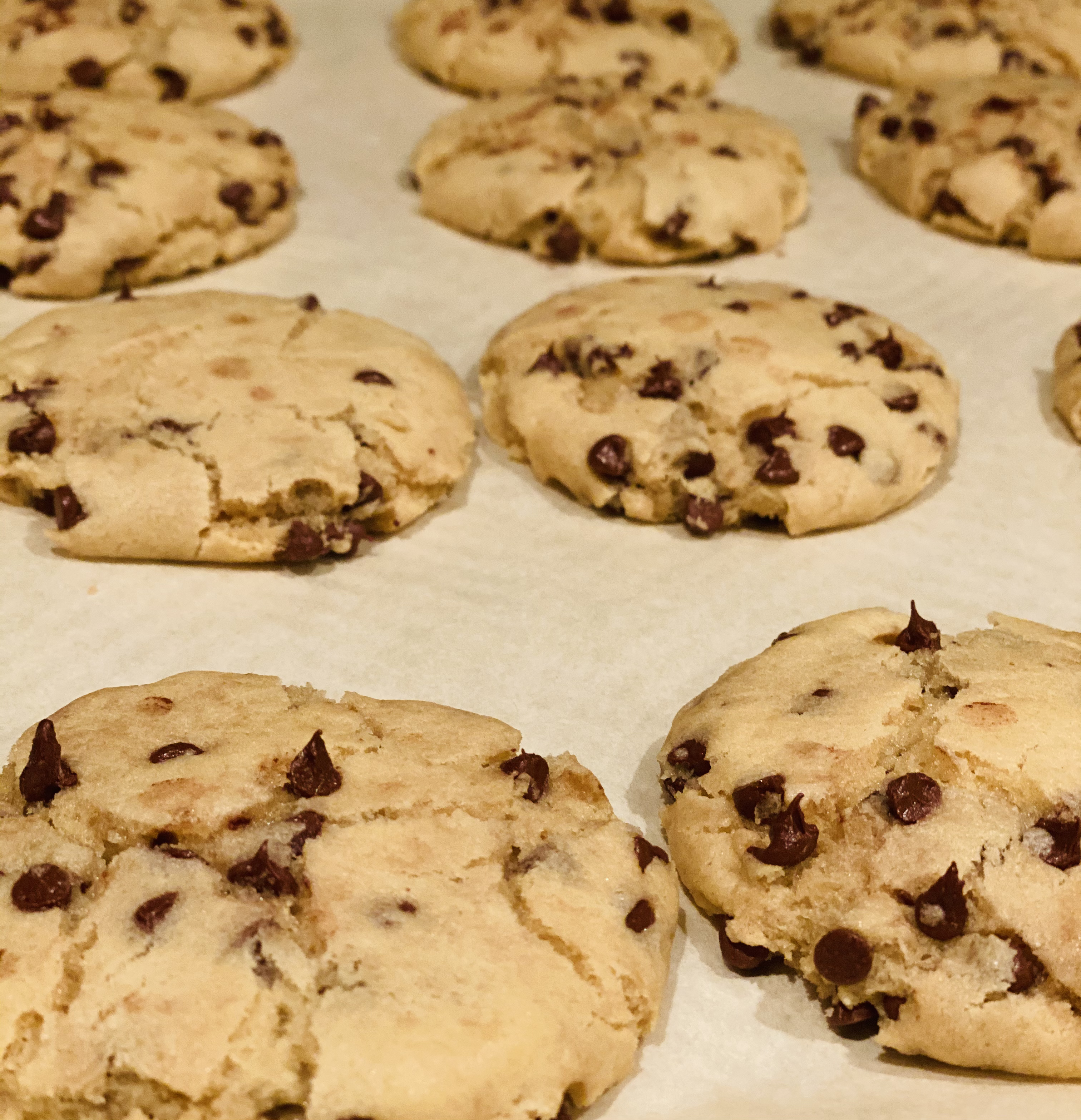 Chocolate Chip Cookies